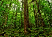 开云体育官网-英超争冠之夜，孔德成为全场焦点