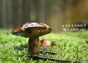 开云体育官网-卡塔尔之夜，阿坎吉闪耀，国际米兰关键战突围记