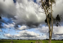 开云体育登录-英国乒乓球队逆转德国乒乓球队，张继科高光表现的简单介绍