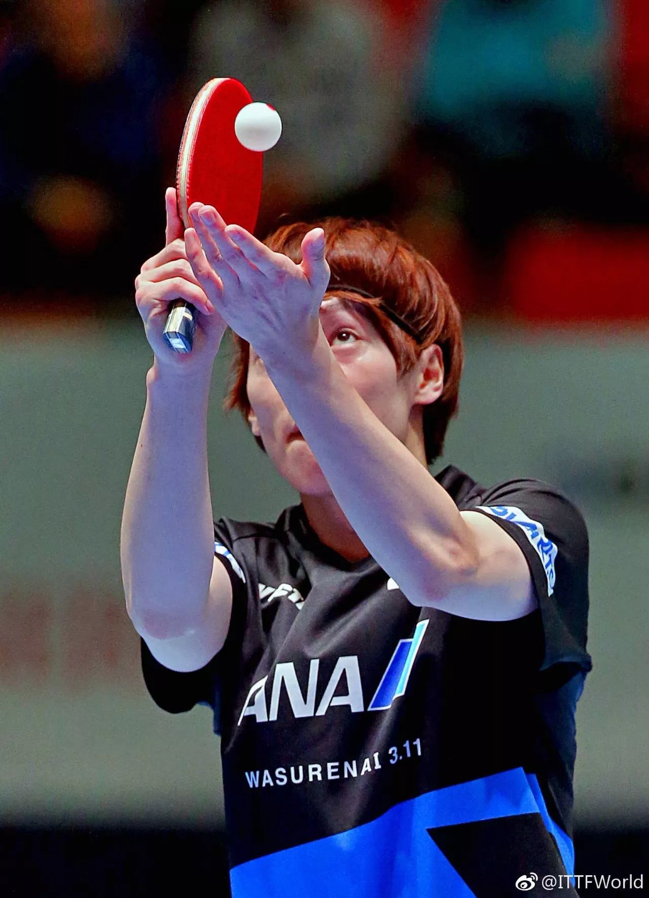 法国乒乓球队逆转奥地利乒乓球队,波尔制霸全场的简单介绍 法国乒乓球队逆转奥地利乒乓球队,波尔制霸全场的简单介绍