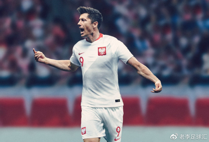 匈牙利主场击败波兰取得一场胜利 匈牙利主场击败波兰取得一场胜利