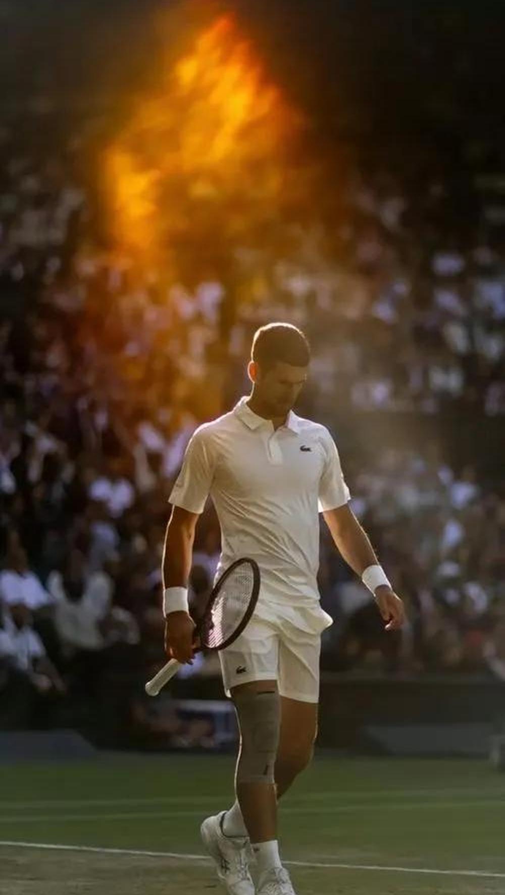 年终总决赛碾压法网，德约科维奇扛起全队的简单介绍