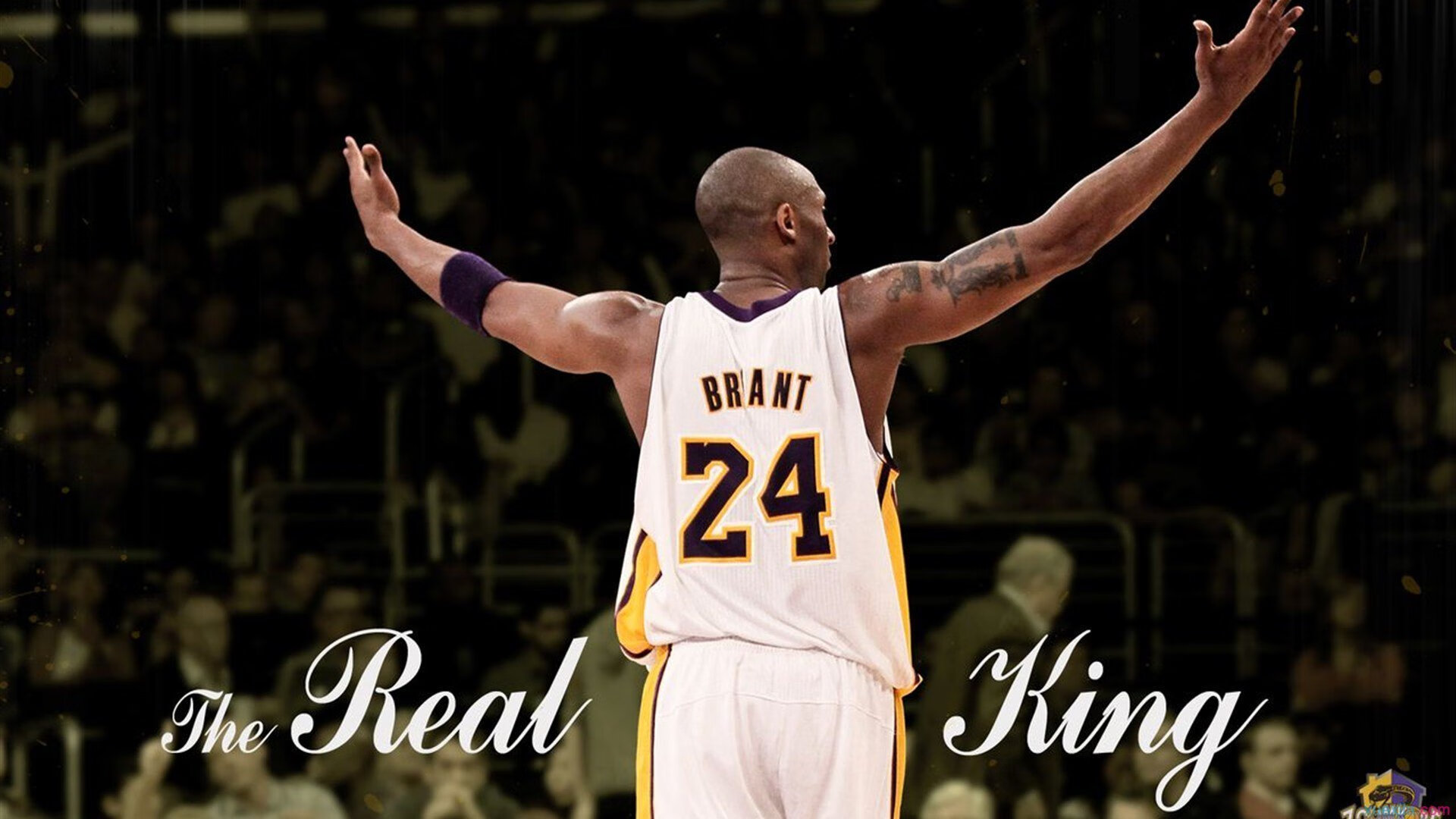 武切维奇爆发,广东队冲垮步行者,一场跨越篮球文化的战术对决